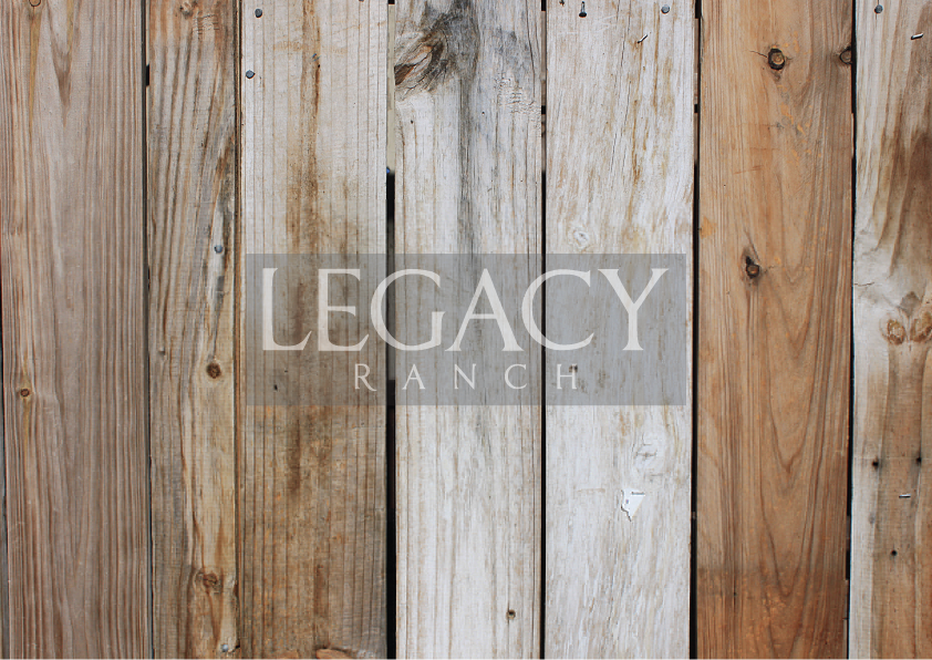 Logo Design by Ryan Orlowski for this project | Design: #1286109