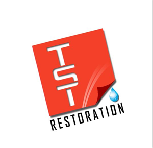 Diseño de Logo por Edwin para este proyecto | Diseño: #1288173