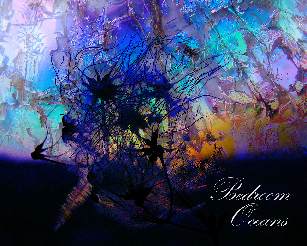 Design de Pochette de CD par IC pour NiVi | Design #4554980