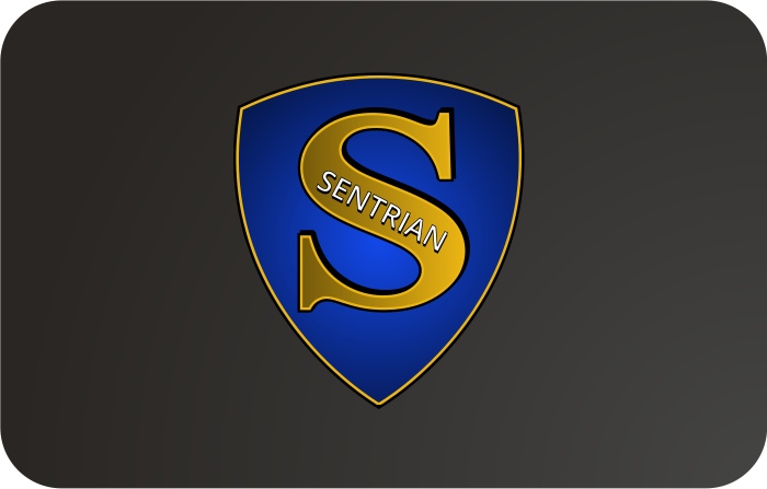 Diseño de Logo por SeXtreme para IBS InfoTech | Diseño #4574028