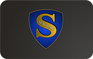 Design de Logo par SeXtreme pour IBS InfoTech | Design : #4574028