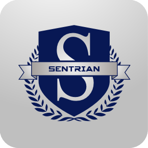 Design de Logo par SeXtreme pour IBS InfoTech | Design : #4587802