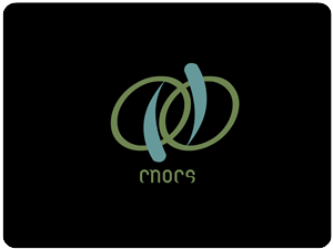 Logo Design by REDcrackers.com for Cnocs | Design: #202518
