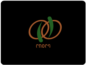 Logo Design by REDcrackers.com for Cnocs | Design: #211990