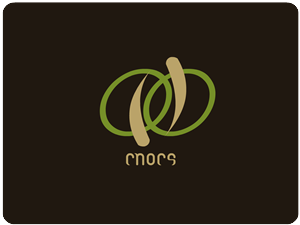 Logo Design by REDcrackers.com for Cnocs | Design: #211997