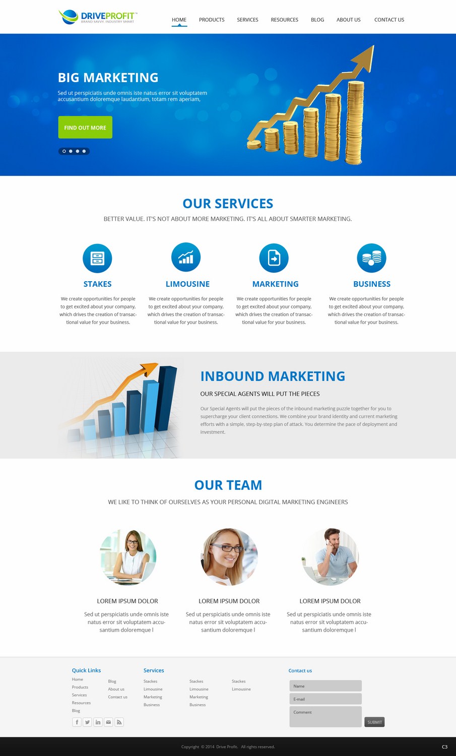 Web Design by pb for DriveProfit. LLC | Design #4534652