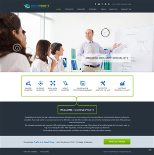 Web Design by pb for DriveProfit. LLC | Design: #4534658