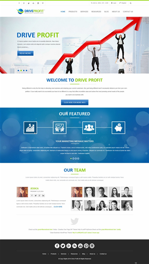 Web Design by pb for DriveProfit. LLC | Design: #4534667