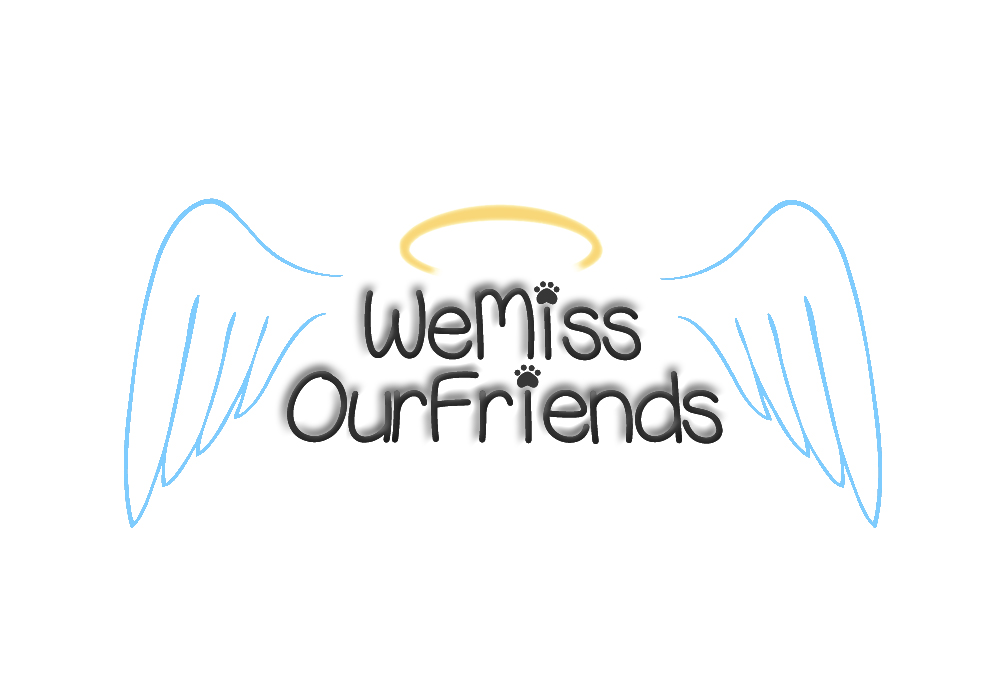 Logo Design by jjacero for this project | Design #4531634