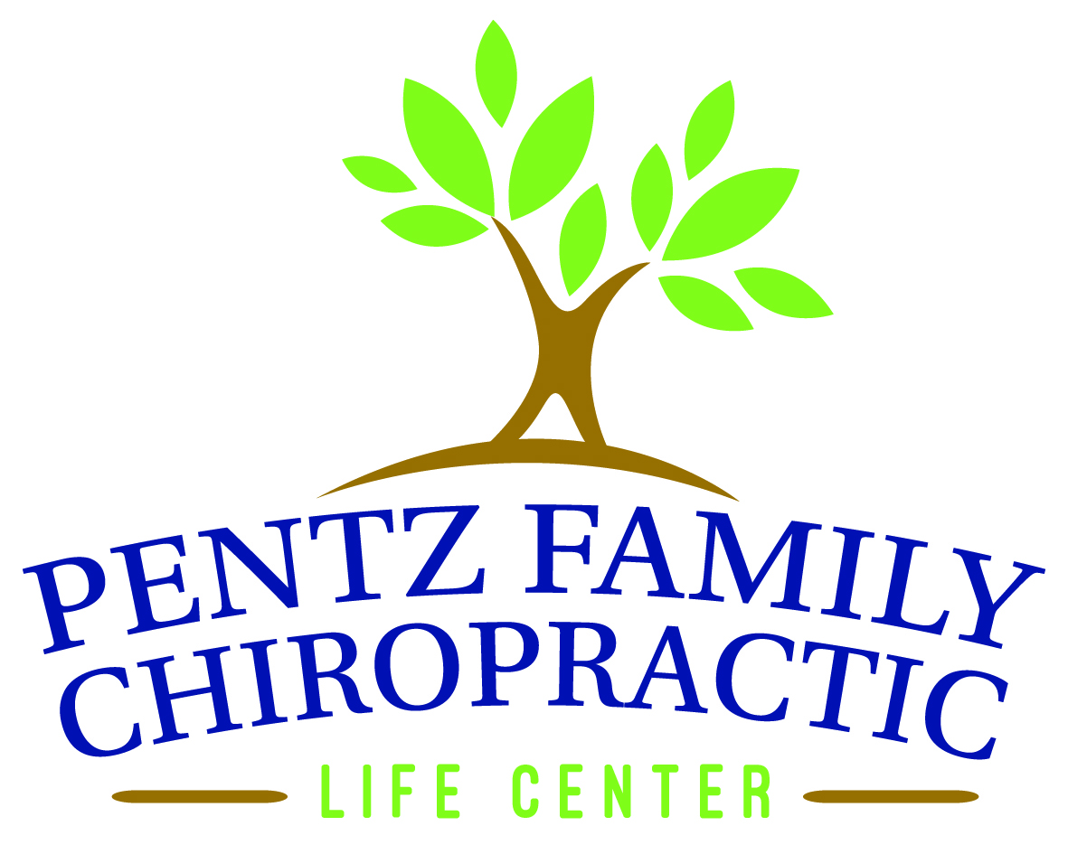 Logo Design by megancostill for this project | Design #4534270