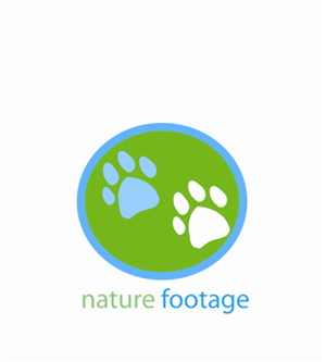 Logo Design by  GMConcords