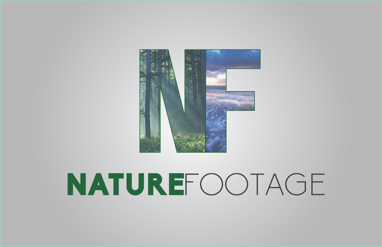 Logo Design by Media Mash for this project | Design #4560226
