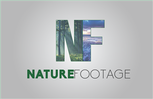 Logo Design by Media Mash
