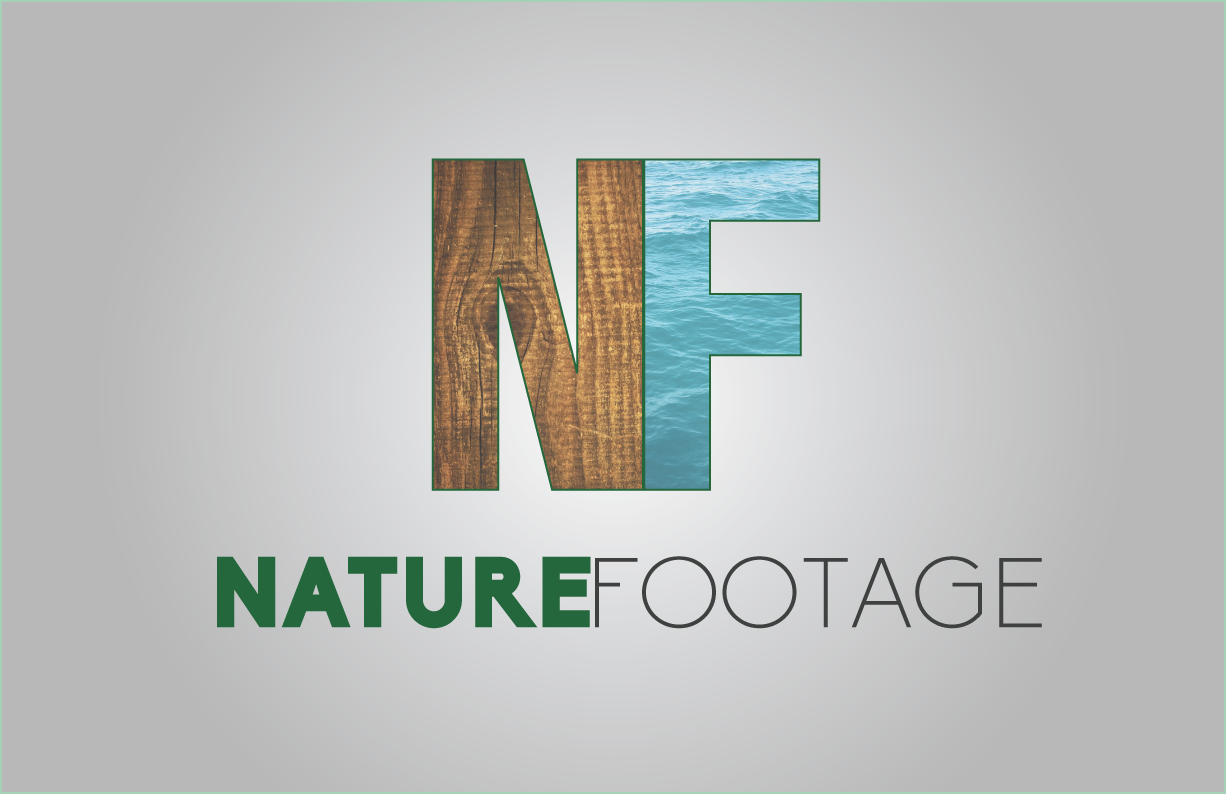 Logo Design by Media Mash for this project | Design #4608572