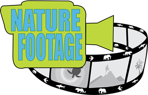 Logo Design by MIki62