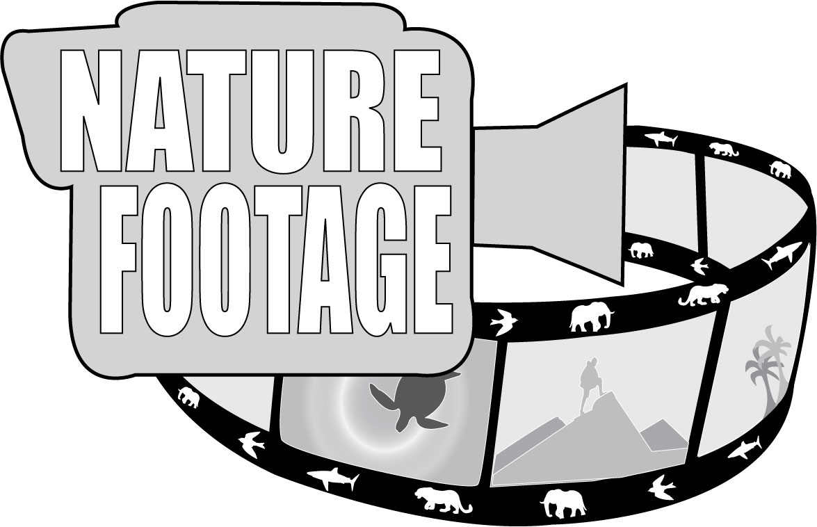 Logo-Design von MIki62 für dieses Projekt | Design #4546839