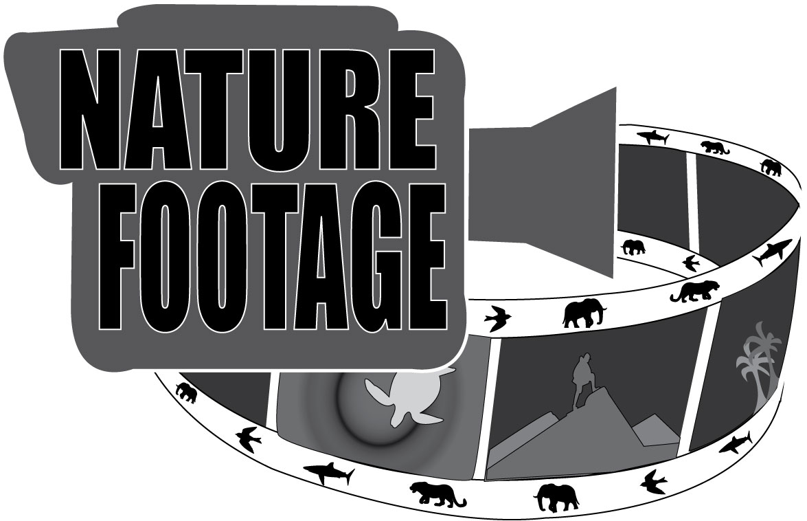 Logo Design by MIki62 for this project | Design #4546843