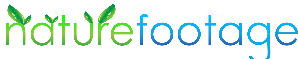 Logo-Design von margoot für dieses Projekt | Design #4558342