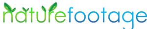 Logo Design by margoot