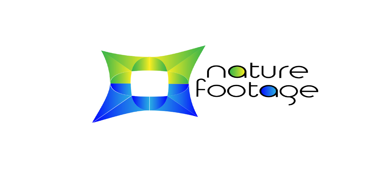 Logo-Design von margoot für dieses Projekt | Design #4558344