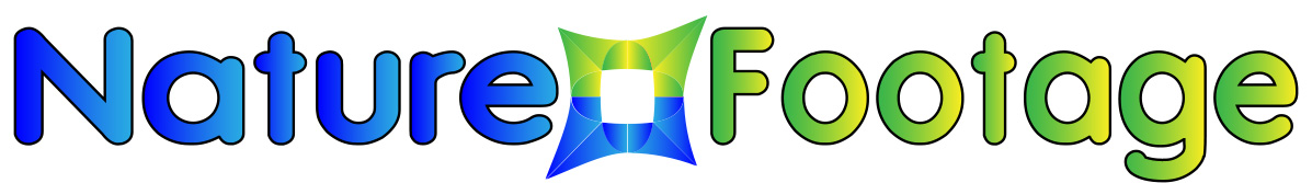 Logo-Design von margoot für dieses Projekt | Design #4558346