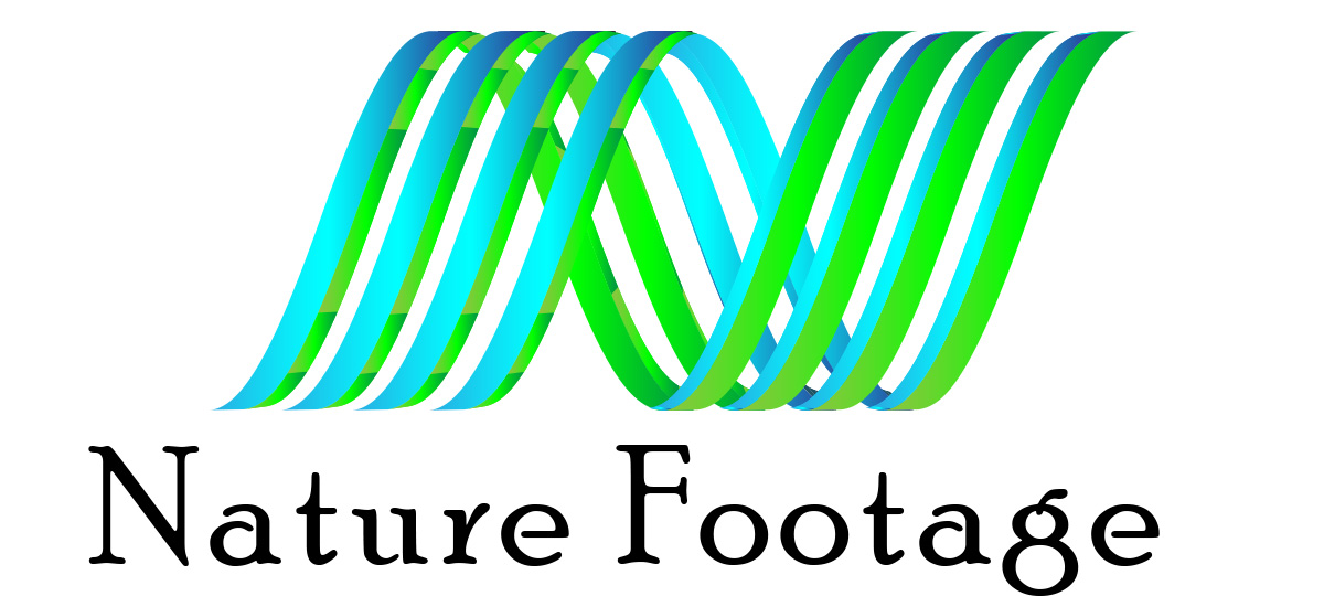 Logo-Design von margoot für dieses Projekt | Design #4579395