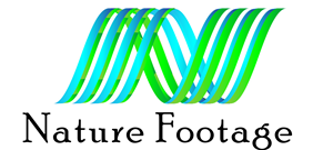 Logo-Design von margoot für dieses Projekt | Design: #4579395