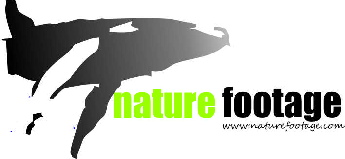 Logo-Design von s.m.r. für dieses Projekt | Design #4562184