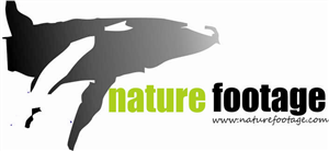 Logo Design by s.m.r.