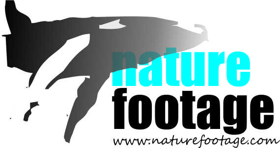 Logo-Design von s.m.r. für dieses Projekt | Design #4569315