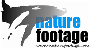 Logo-Design von s.m.r. für dieses Projekt | Design: #4569315