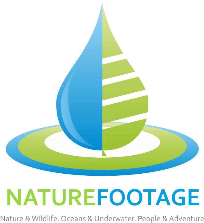 Logo-Design von GRS Designs für dieses Projekt | Design #4544160