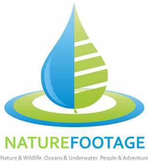 Logo-Design von GRS Designs für dieses Projekt | Design: #4544160