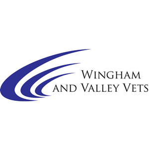 Logo Design by WhiteKnight Design