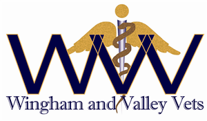 Logo Design by TDC Communications