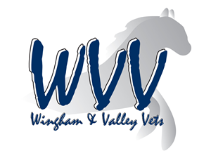 Logo Design by jaybgraphics