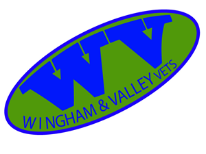 Logo Design by NAVEEN RAJ