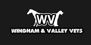 Logo Design by Dilipkumar