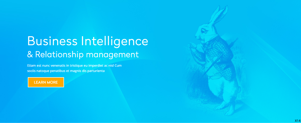 Diseño Web por pb para este proyecto | Diseño #4534777