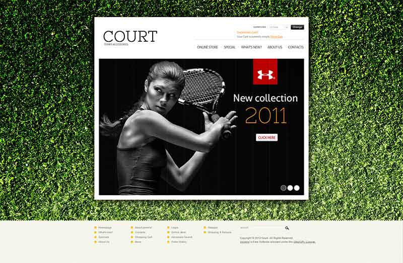 Web Design by City Designer for Monaco Pass | Design #1288222