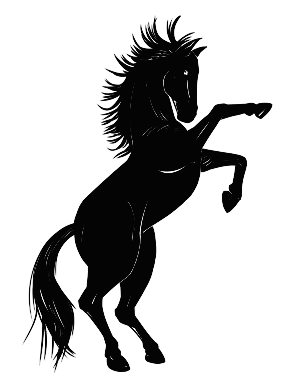 Illustration Design by fantasyimage
