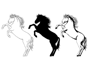 Illustration Design by rezahales