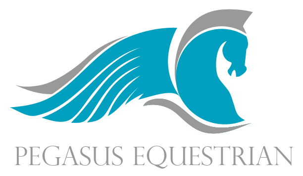 Logo Design by Hues Designs for this project | Design #4549581