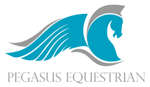 Logo Design by Hues Designs