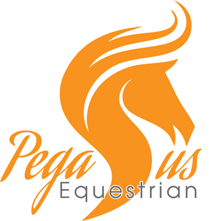 Logo Design by Hues Designs for this project | Design: #4559976