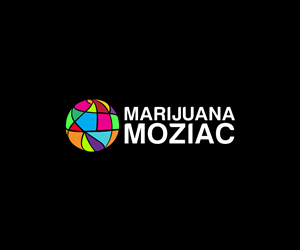 Diseño de Logo por James Hamilton para este proyecto | Diseño: #4661151