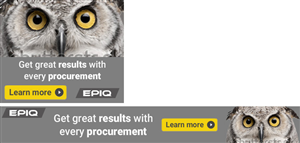 Banner Ad Design by NancyKelpie for Epiq Technologies | Design: #4661030