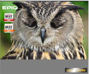 Banner Ad Design by onurg