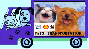 Logo Design by AJP Creative Studio for this project | Design #4549920