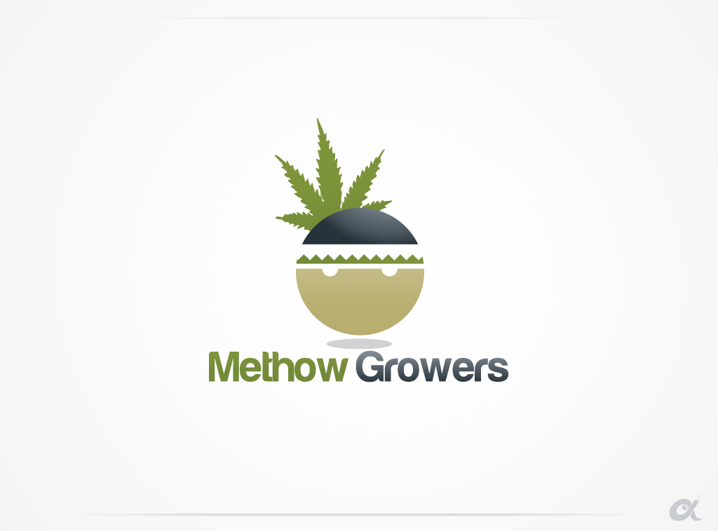 Logo Design by Artizzle for this project | Design #4595153